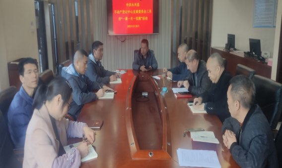 永兴县自然资源局：“党建+”模式 促不动产登记提质增效