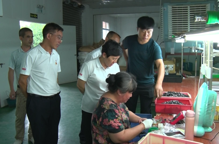 永兴县西河沿线乡村振兴示范带建成9家就业帮扶车间
