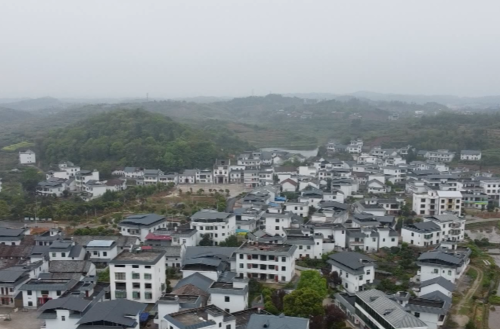郴州永兴县堡口村：让党旗在村级集体经济一线飘扬