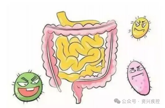 暴雨洪涝灾害后，这些卫生防疫防病知识要知晓！