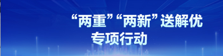 专栏|永兴县“两重”“两新”送解优专项行动
