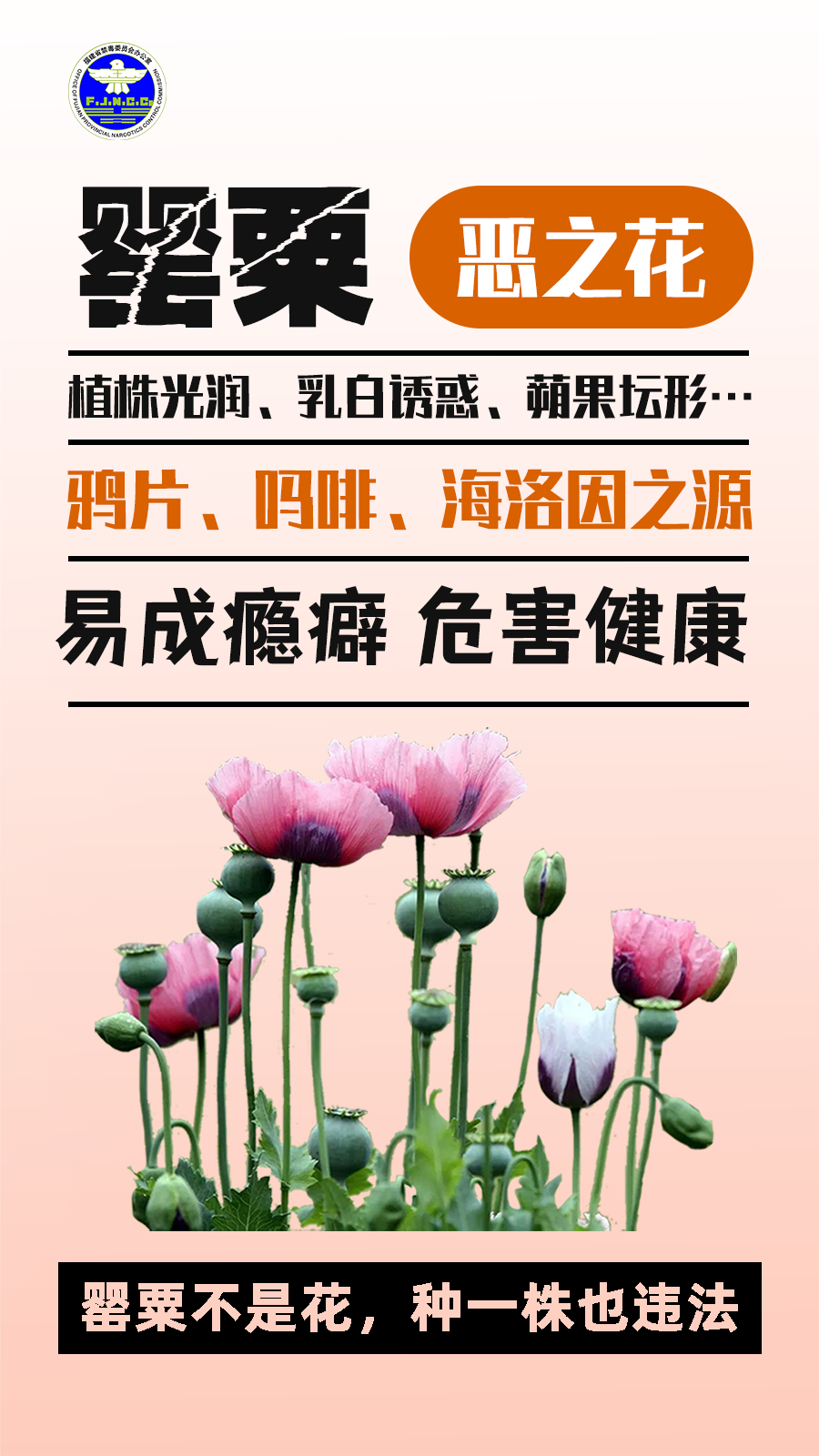 警惕“毒”物！记住这些防毒关键词