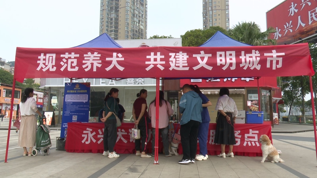 规范养犬，共建文明城市！永兴：犬只“一站式”办证服务  让宠物狗有了“身份证”