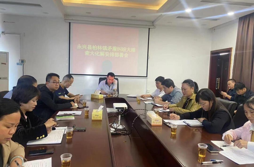 永兴县柏林镇积极开展排查化解矛盾纠纷行动