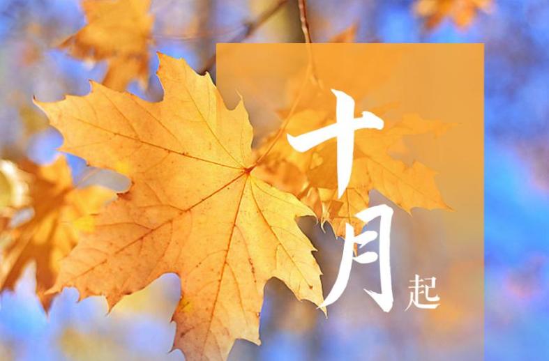 一图读懂|10月起，这些新规将影响你我的生活