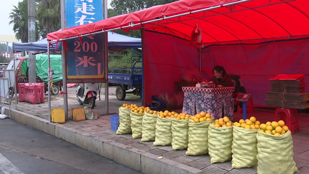 严查冰糖橙市场“短斤少两” 守护群众“心头秤”