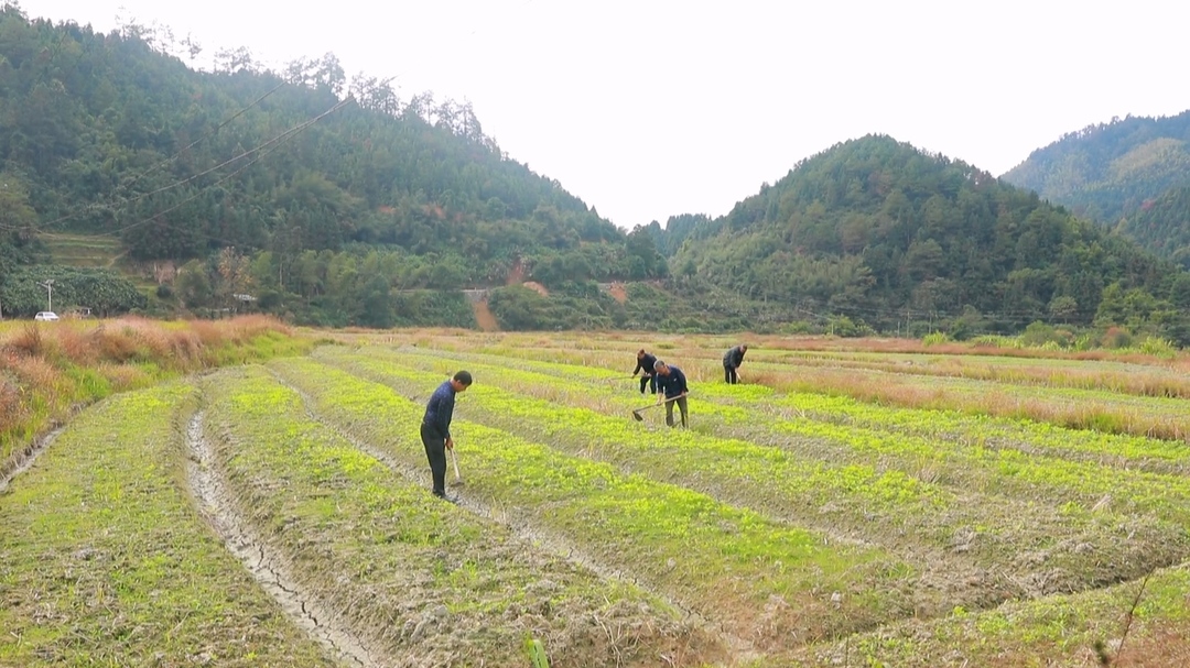 永兴县大布江乡虎居坑村：“三张名片”助力乡村振兴