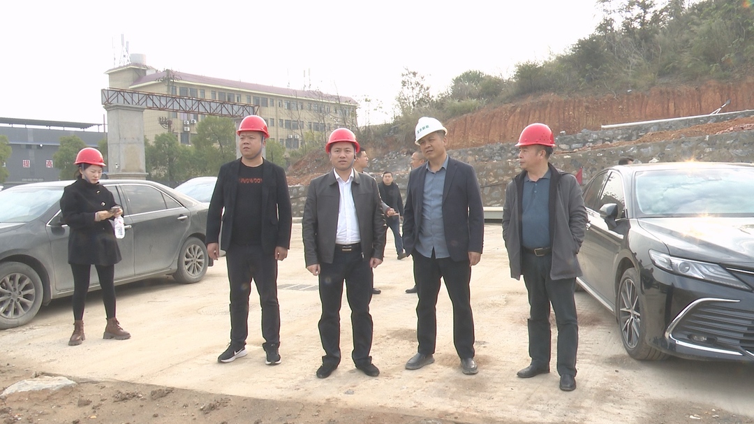 县领导调研稀贵金属产业集群：“一企一策”精准施策促发展