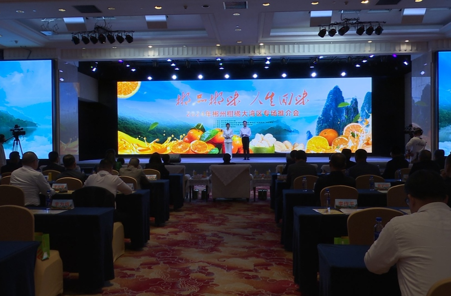 2024年郴州柑橘大湾区专场推介会在广州成功举办  永兴冰糖橙闪耀大湾区市场