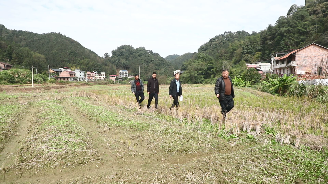 代表风采|肖志勋：实干担当 引领乡村振兴