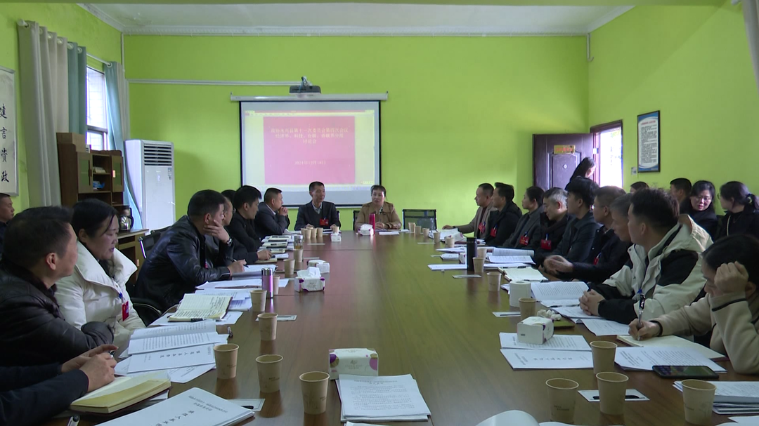 政协永兴县第十一届委员会第四次会议  李玲华参加中共界别分组讨论