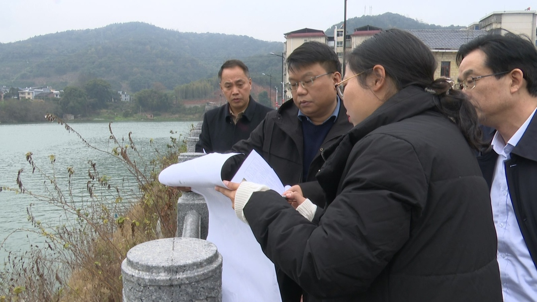 宾心华调研交通项目建设