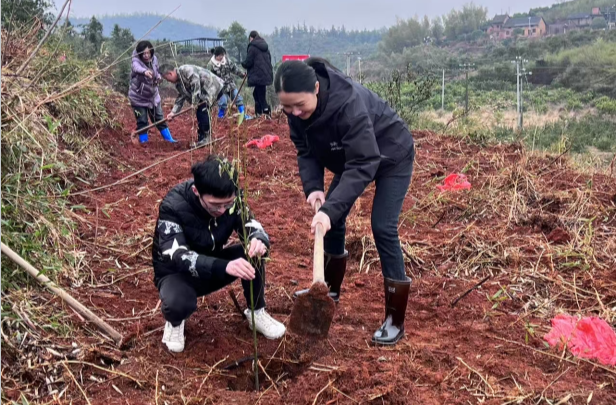 “党建+植树” 添活力   永兴水电助力乡村焕新颜