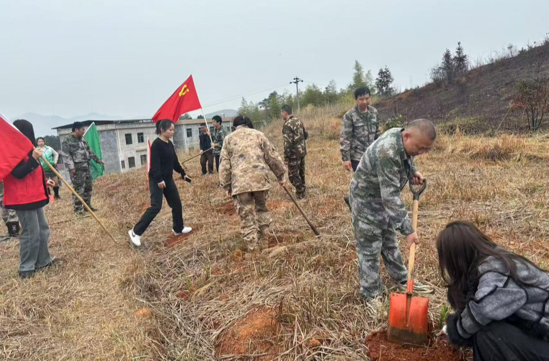 永兴县悦来镇：开展义务植树活动，共植绿色希望