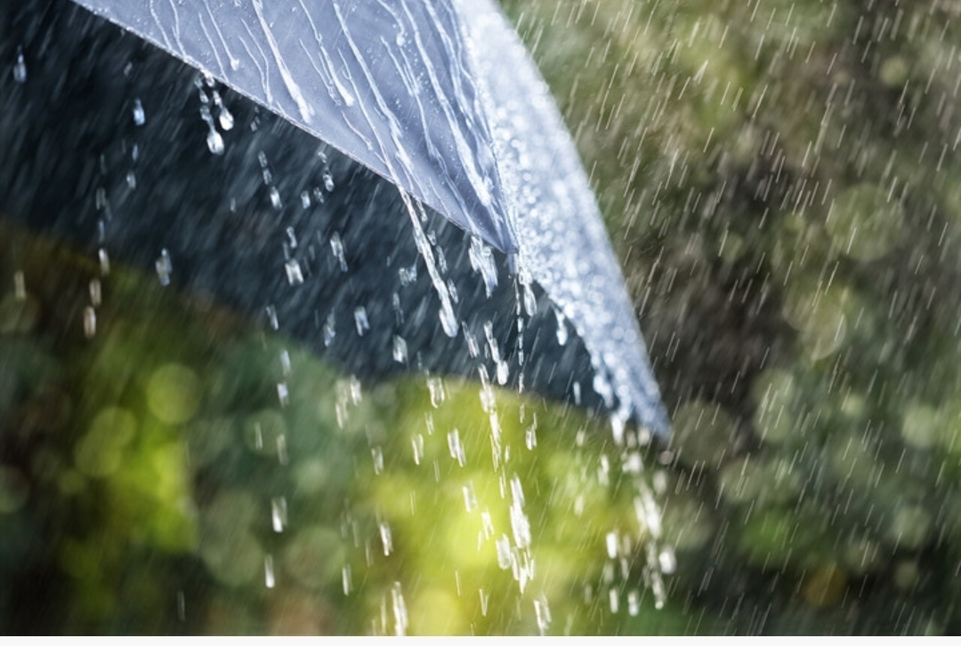 雷暴大风！局地暴雨！即将抵达永兴