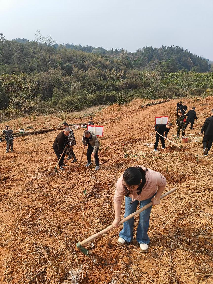 永兴：植树增绿共筑美丽乡村