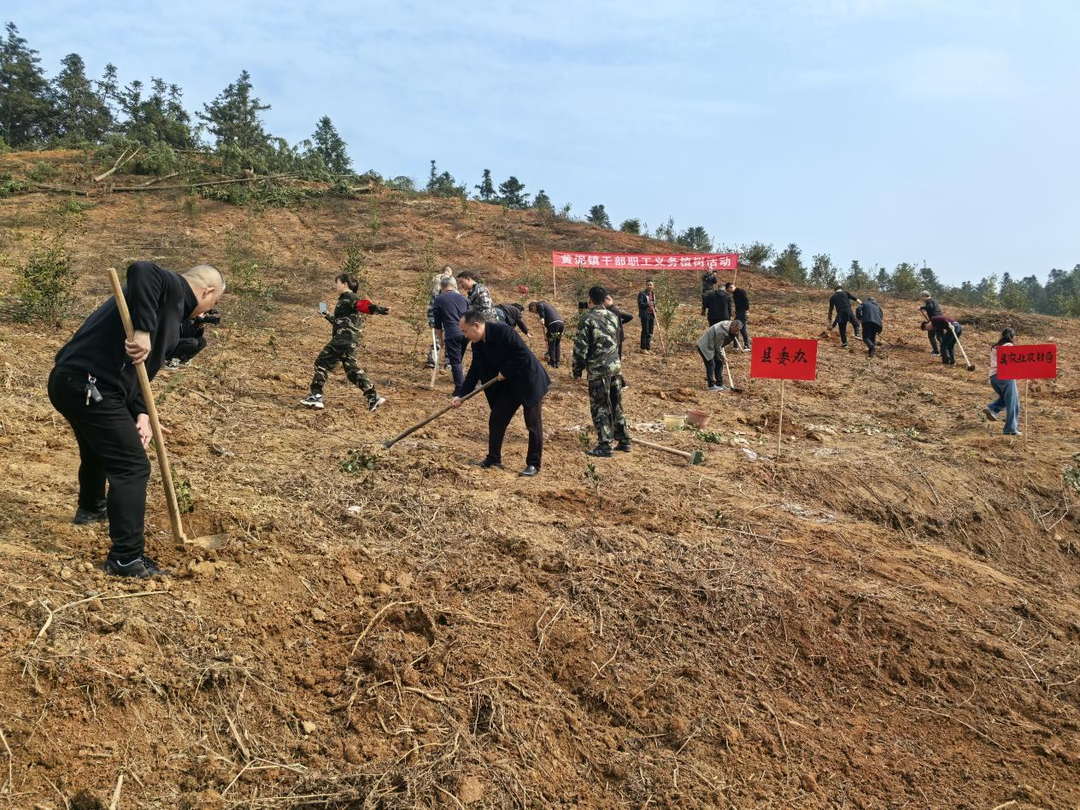 永兴县黄泥镇：春回大地万物苏  植树添绿正当时