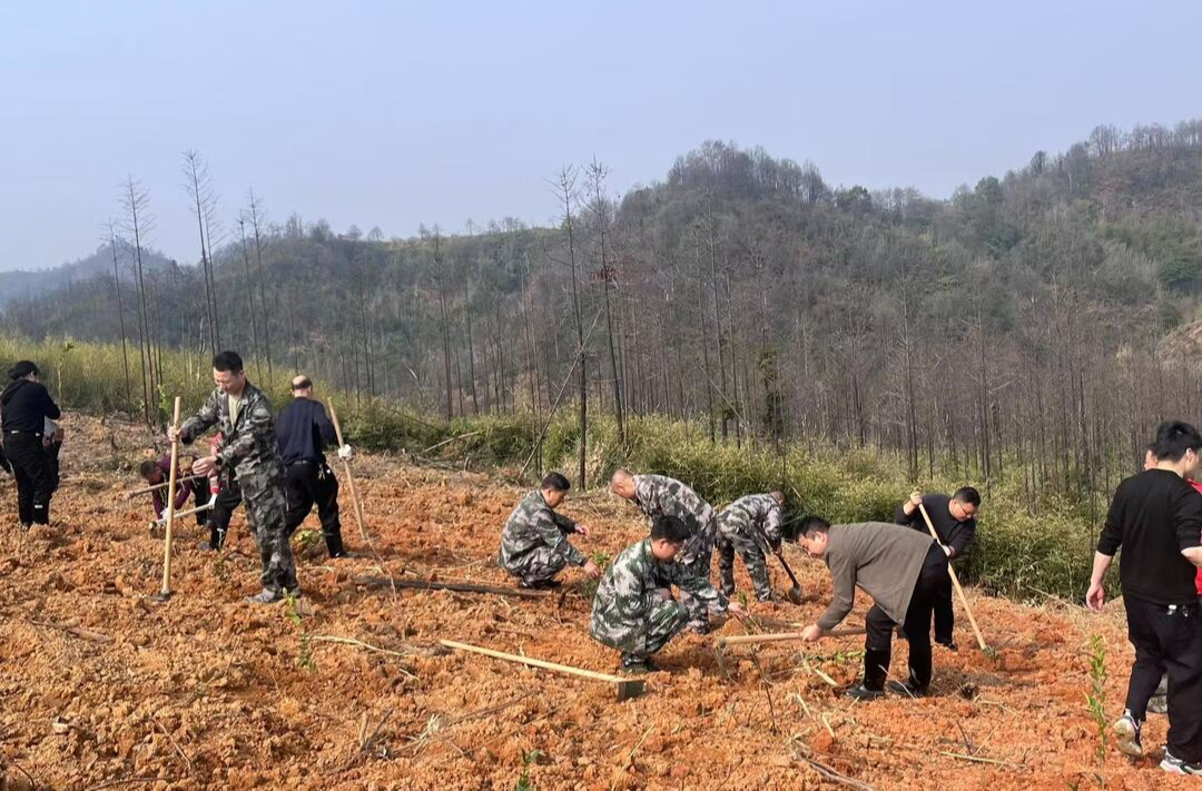 永兴县柏林镇：植绿护绿，共建生态乡村