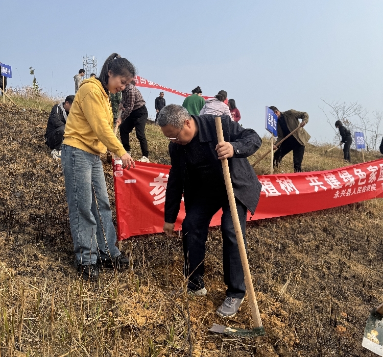 检护青山绿水 共“植”绿色家园，永兴县人民检察院积极开展3·12植树节活动