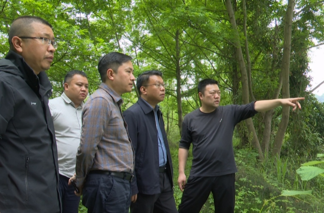 宾心华调研国省断面水质管控工作