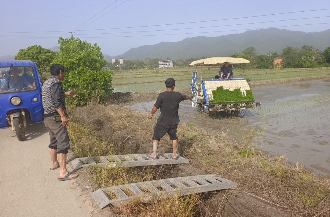 永兴县鲤鱼塘镇：机械化助力早稻种植 筑牢粮食安全根基