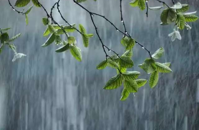 暴雨即将登场！@永兴人，出门记得带伞→