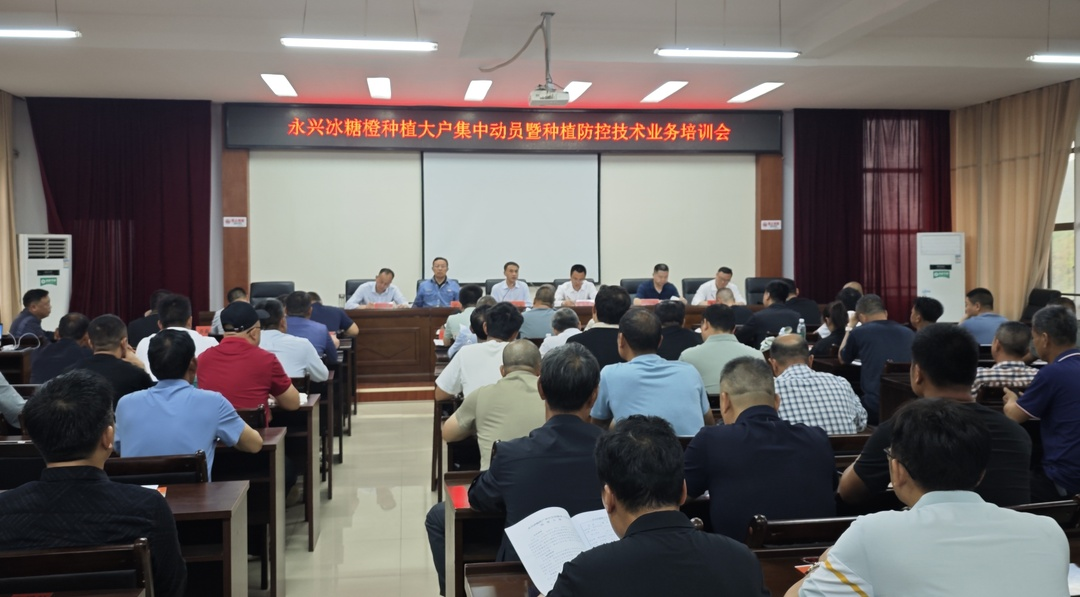 永兴冰糖橙种植大户集中动员暨种植防控技术业务培训会：坚决打赢黄龙病防控阻击战
