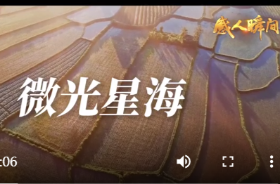 微光星海