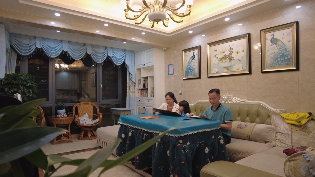 书香满银都 阅读正当时（六）朱琳家庭：书香氤氲 共筑成长乐园