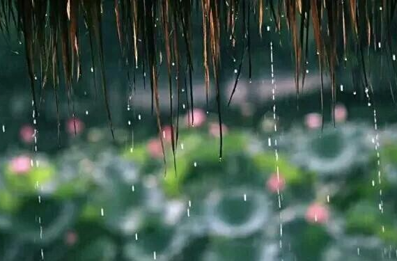 雨季安全常识，这些注意事项请记牢！