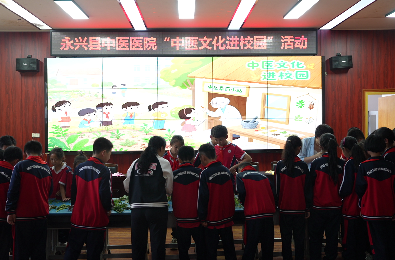 永兴：中医药文化进校园 让国粹在校园生根发芽