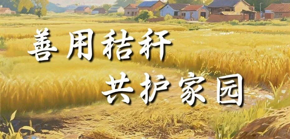 露天焚烧秸秆违法！！！