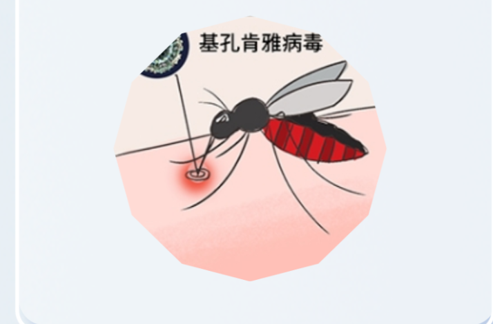 广东顺德确诊超2000例！基孔肯雅热如何预防？
