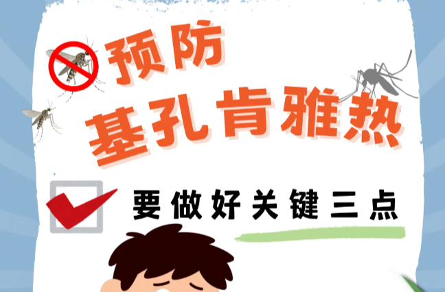 预防基孔肯雅热，做好关键三点→