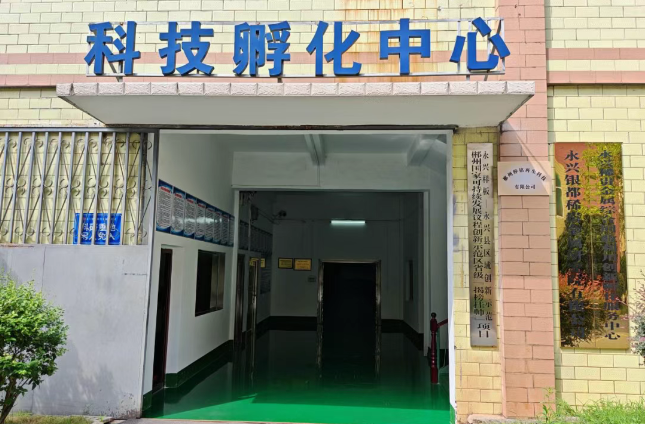 2025年上半年科技工作巡礼•永兴篇