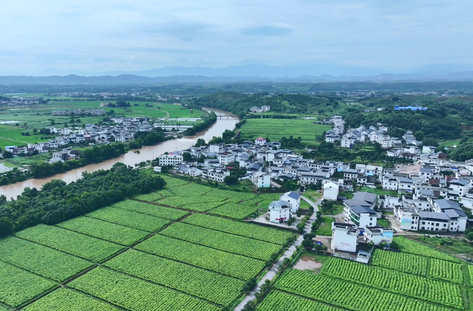 攻坚加速度|永兴县湘阴渡街道：量质并举速效同增 全力推动经济社会高质量发展