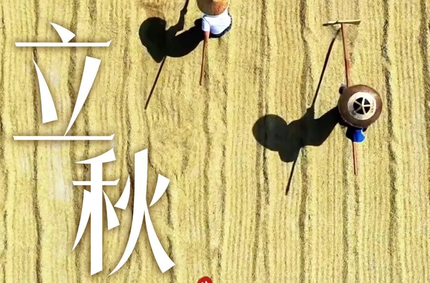 二十四节气·立秋