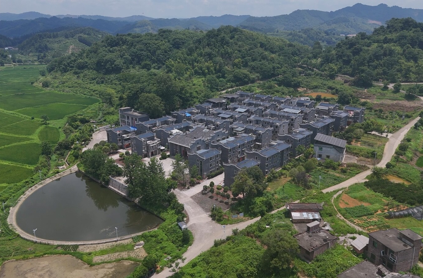 攻坚加速度 |永兴县黄泥镇：夯实镇域经济  擦亮“橙乡”品牌