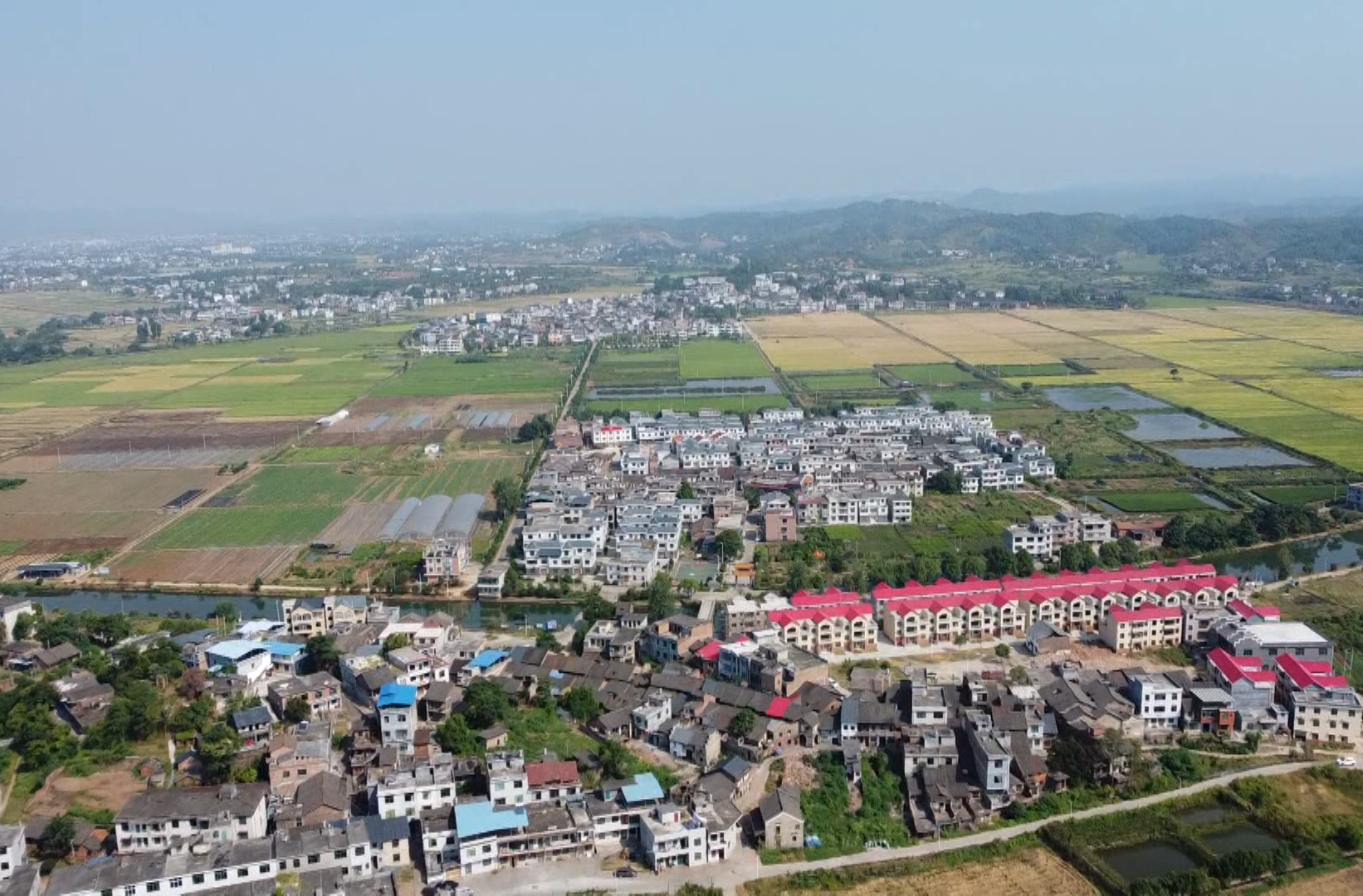 攻坚加速度|永兴县高亭司镇：“双轮驱动”激活乡村振兴新动能