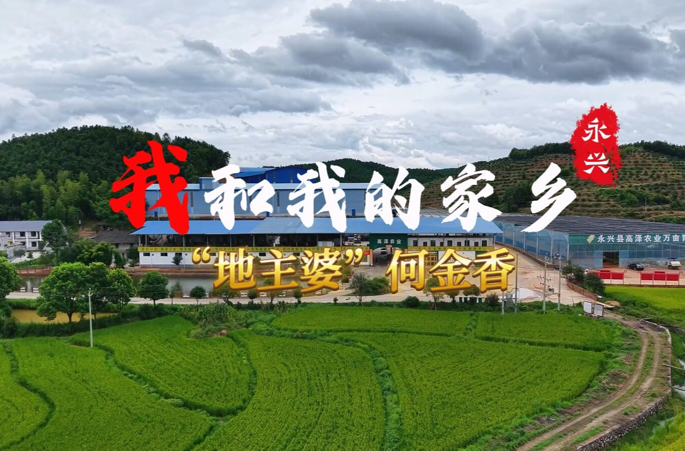 【我和我的家乡】（一）：新农人何金香
