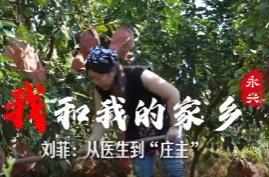 【我和我的家乡】（三）：刘菲 从医生到“庄主”