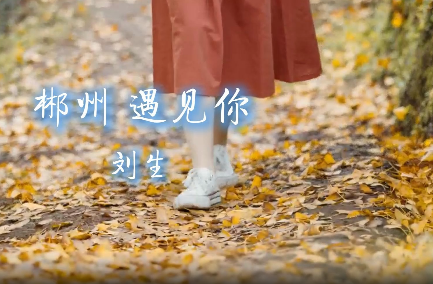 首发！郴州文明主题歌曲MV《郴州遇见你》，每一帧都是心动！