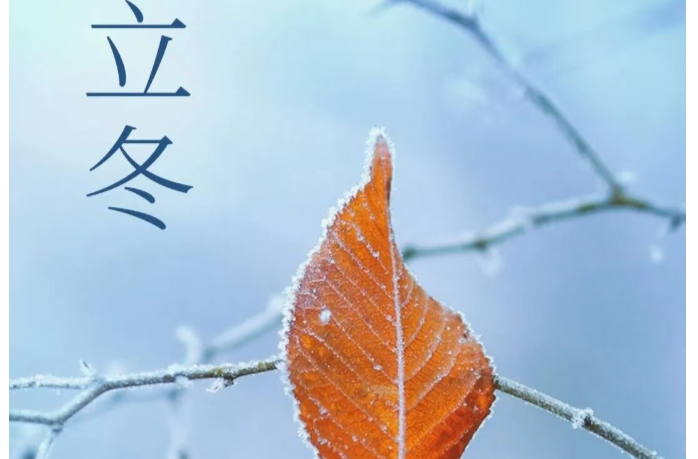今日立冬