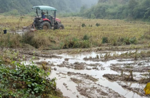 永兴县龙形市乡：变“废”为“宝” 综合利用农作物秸秆