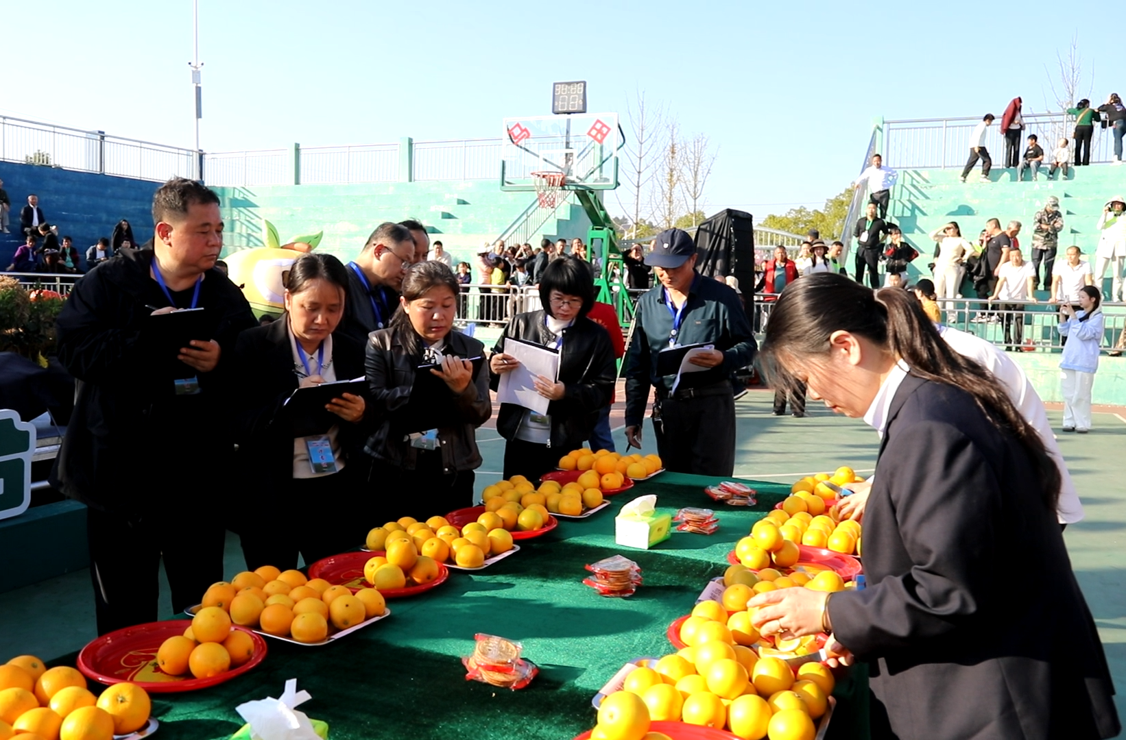 橙香银韵·“乡”约永兴：橙香银韵醉银都  “橙王”争霸庆丰收