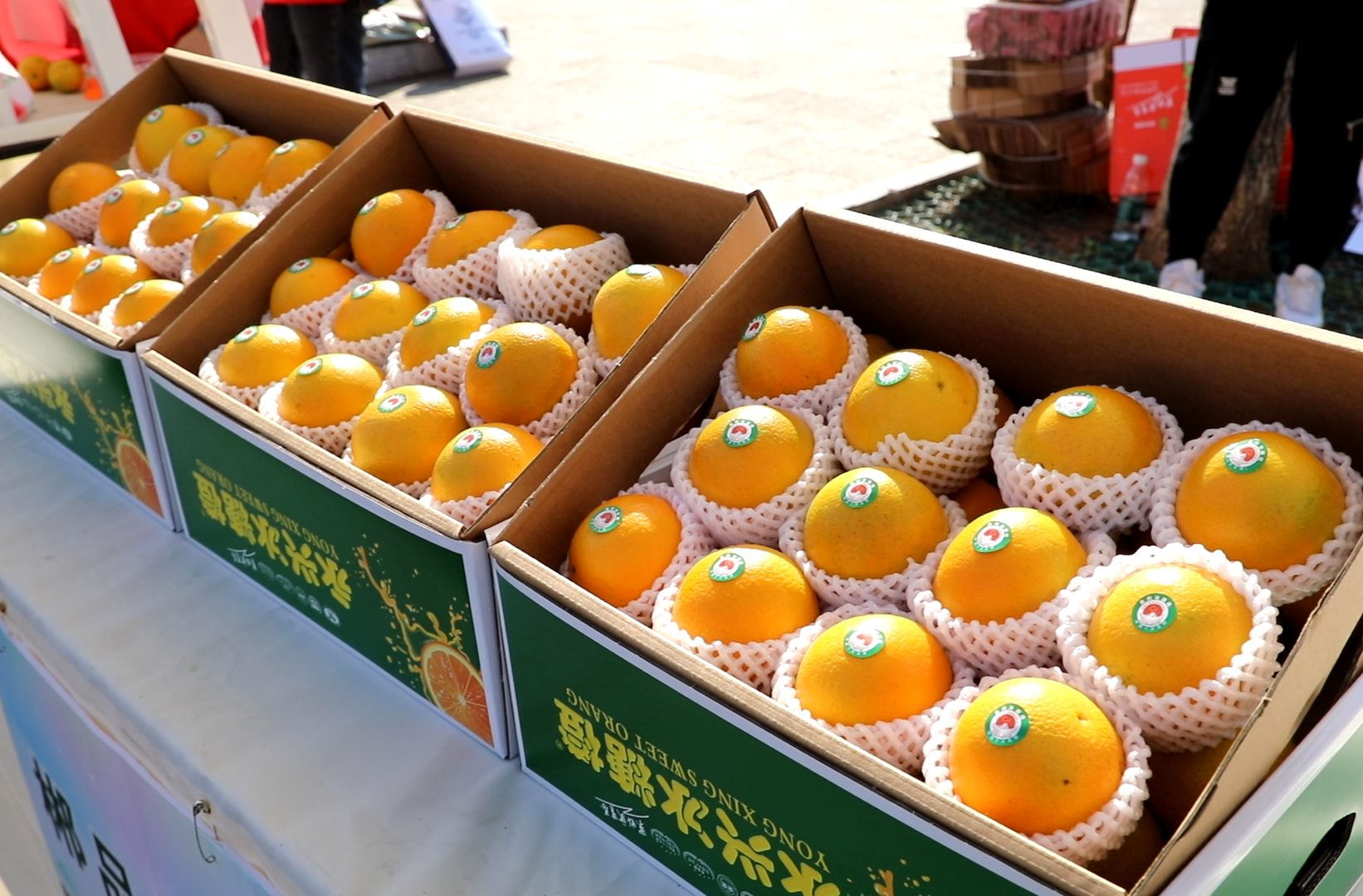 橙香银韵·“乡”约永兴：以品质铸就“甜蜜”产业高质量发展