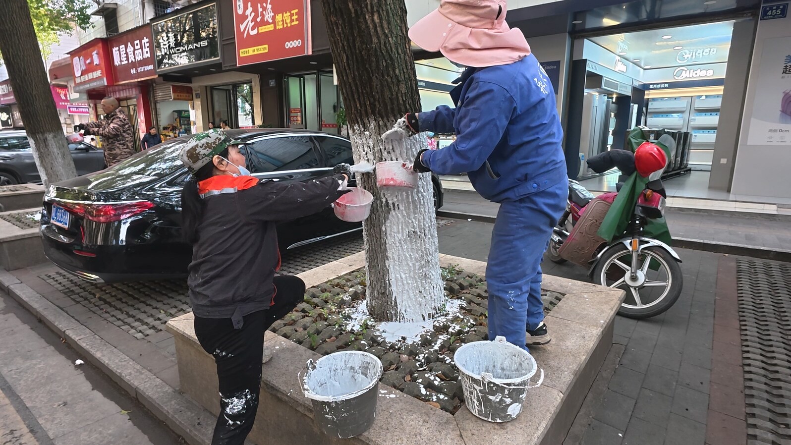 永兴：冬寒将至护绿忙 树木涂白御严寒