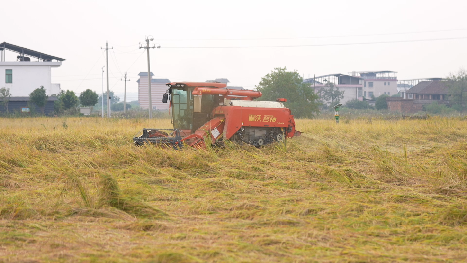 彭家兴：退役不褪色 田埂上续写军人担当