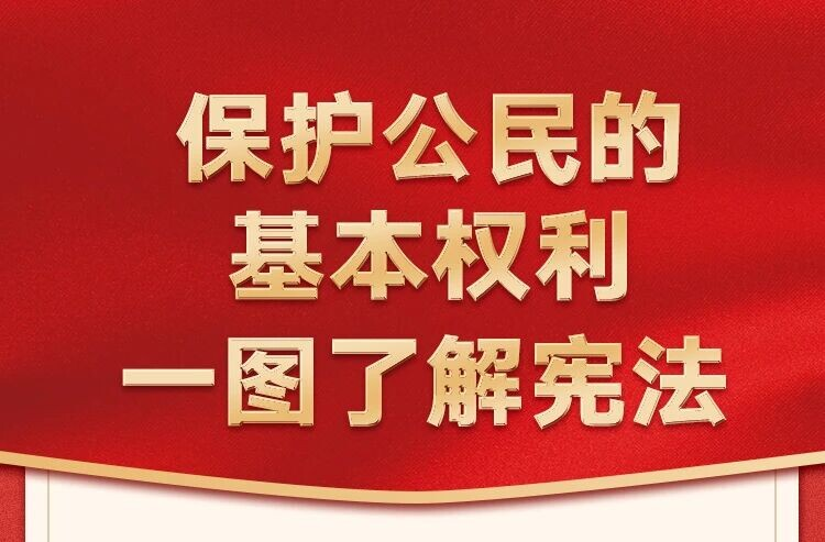 保护公民的基本权利 一图了解宪法