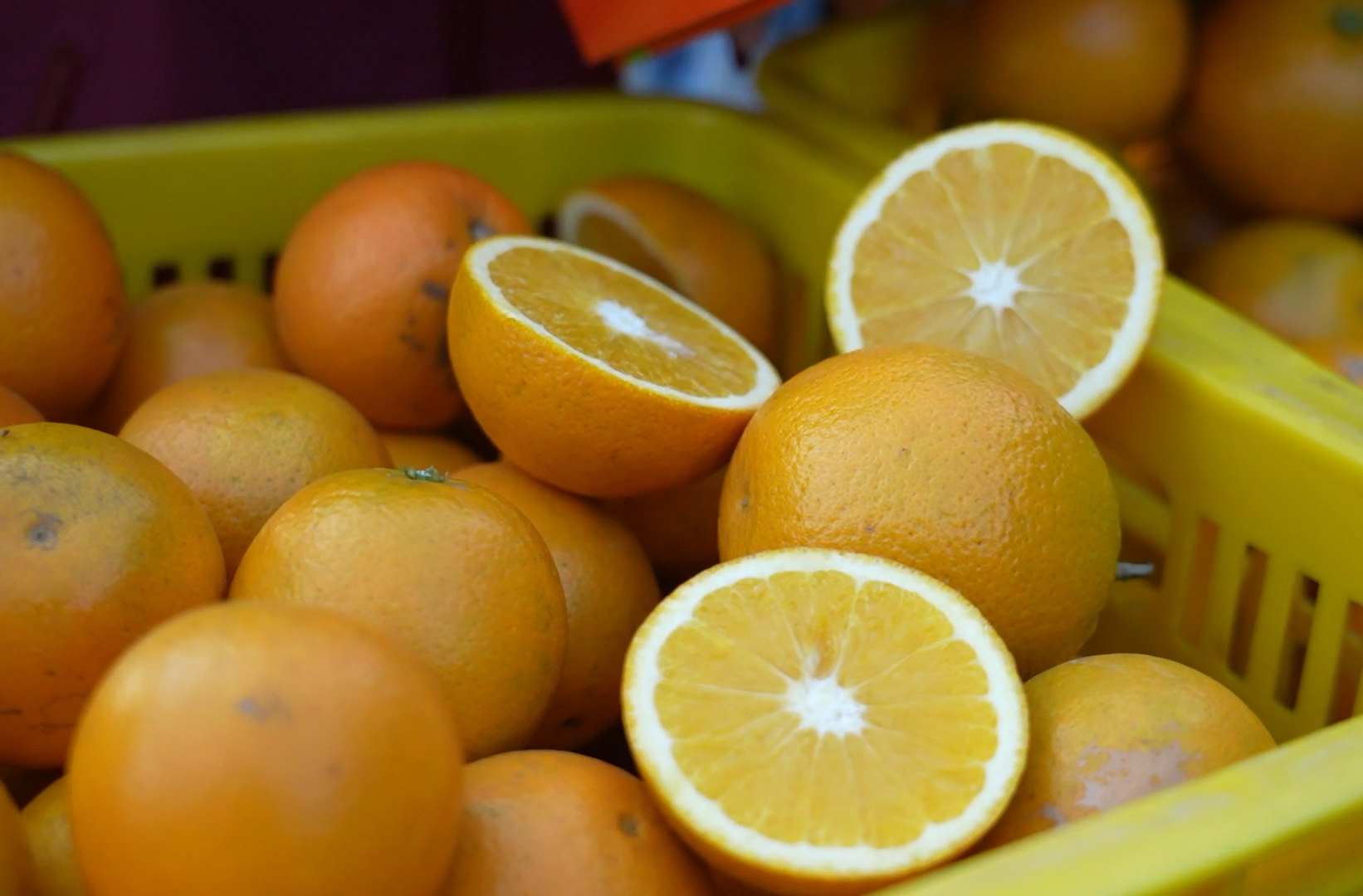 直播架起致富桥 永兴冰糖橙香飘全国